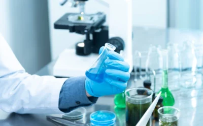 Chimie minérale et chimie organique : quelles sont les différences entre les deux ?