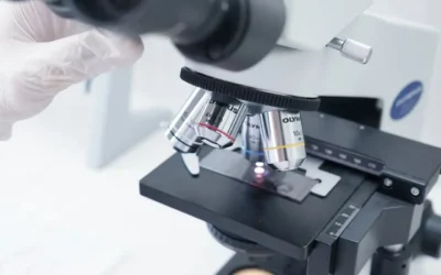 Caractérisation par MEB / EDX